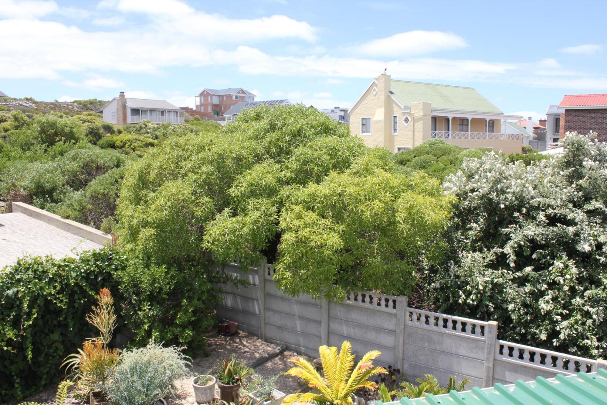 The Sun Catcher Bed & Breakfast Struisbaai Quarto foto